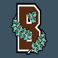Brown University Urban Heavy Tee | Teevron