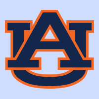 Auburn Tigers Urban Heavy Tee | Teevron
