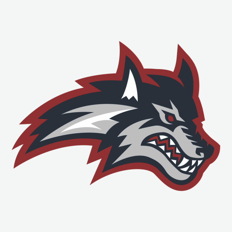 Stony Brook Seawolves Urban Heavy Tee by linhVisuals | Teevron