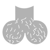 dick head ball sack | Teevron