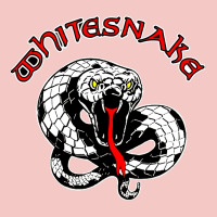 Whitesnake Ws Urban Heavy Tee | Teevron