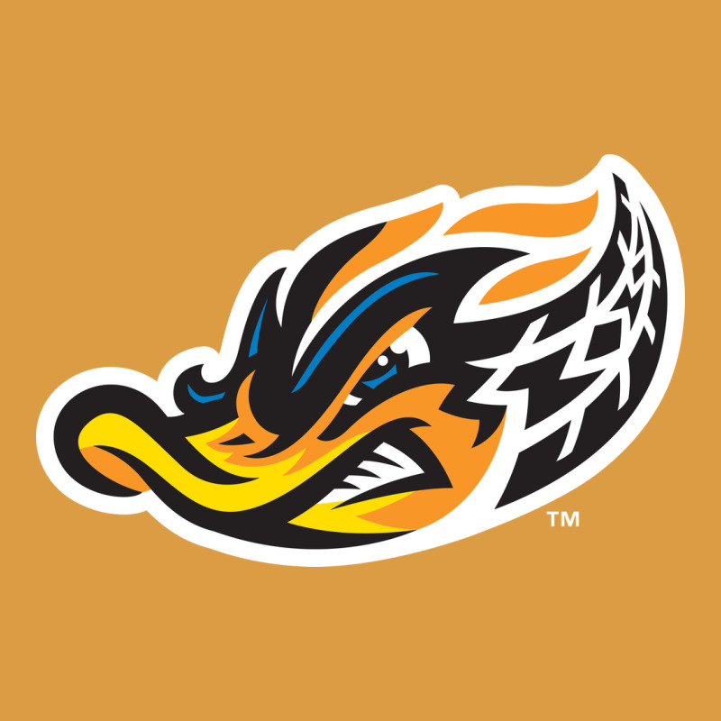 Akron-rubber-ducks Urban Heavy Tee by linhVisuals | Teevron