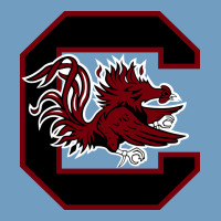 The Gamecocks Athletics Urban Heavy Tee | Teevron