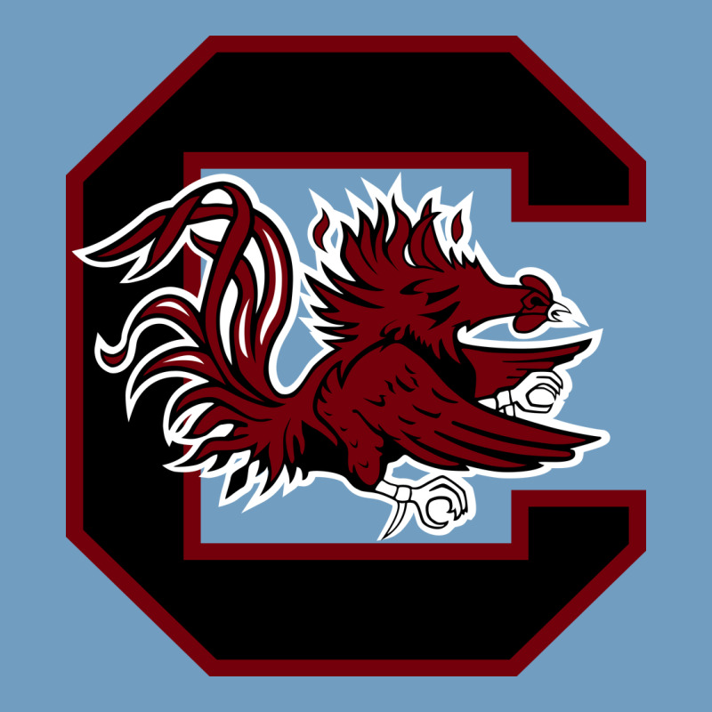 The Gamecocks Athletics Urban Heavy Tee by linhVisuals | Teevron