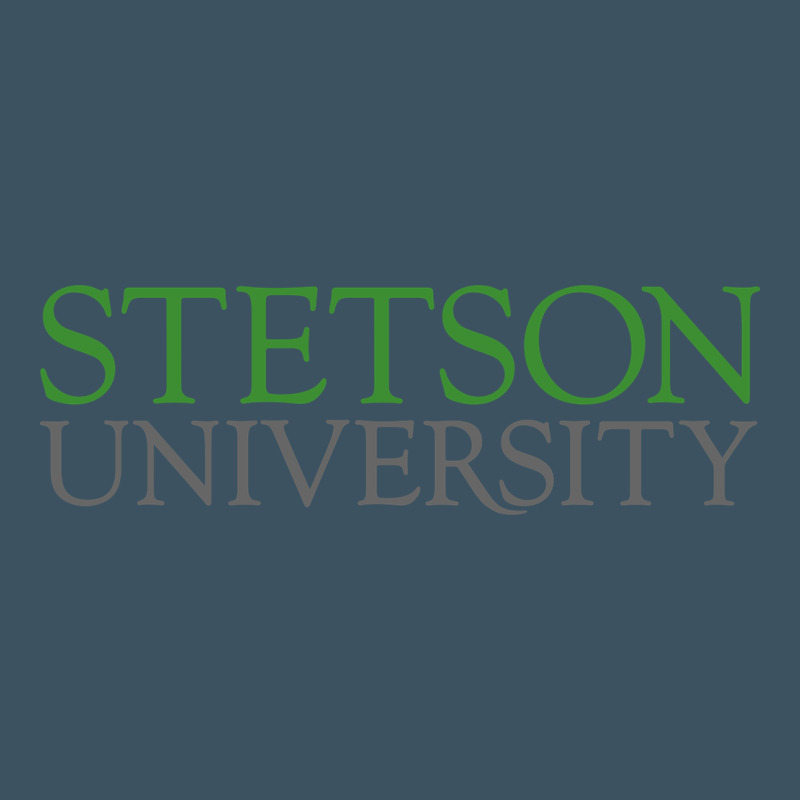 Stetson University Urban Heavy Tee by linhVisuals | Teevron