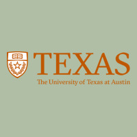 The University Of Texas Austin Urban Heavy Tee | Teevron
