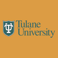 Tulane University Urban Heavy Tee | Teevron