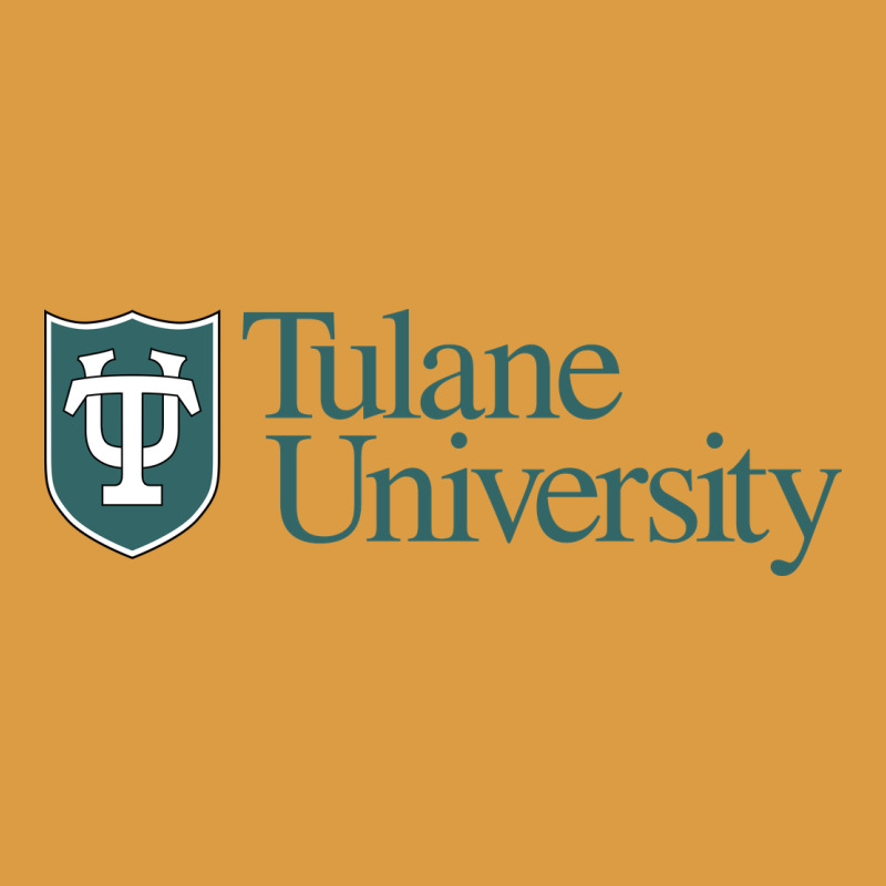 Tulane University Urban Heavy Tee by linhVisuals | Teevron