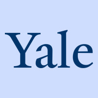 Yale University Urban Heavy Tee | Teevron