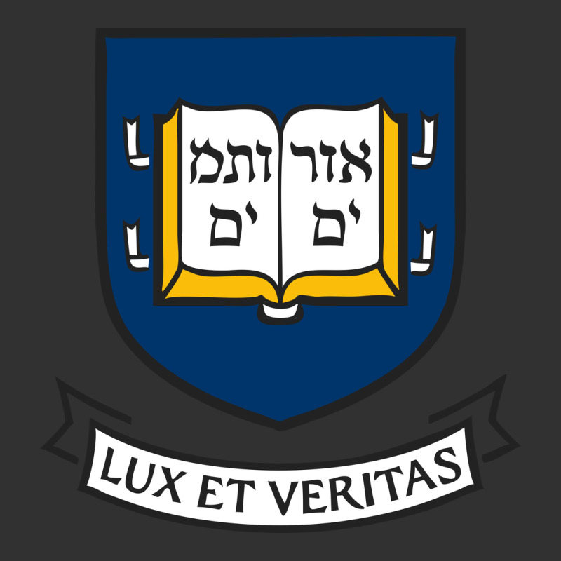 Yale University Urban Heavy Tee by linhVisuals | Teevron
