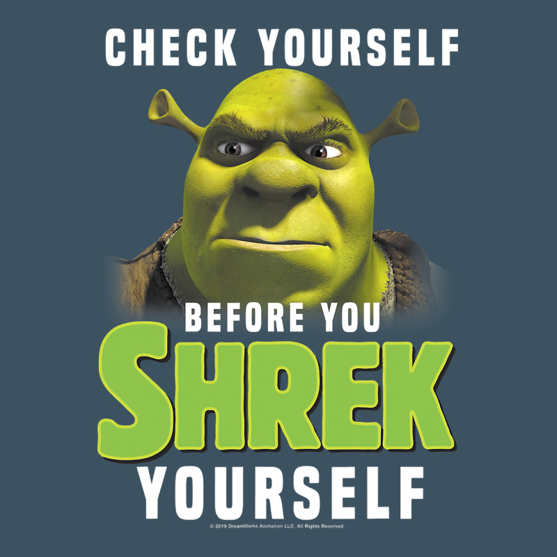 Sh.rek Check Yourself Before You Sh.rek Yourself T Shirt Urban Heavy Tee by linhVisuals | Teevron