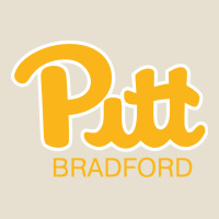 Pitt Bradford, University Of Pittsburgh At Bradford, Urban Heavy Tee | Teevron