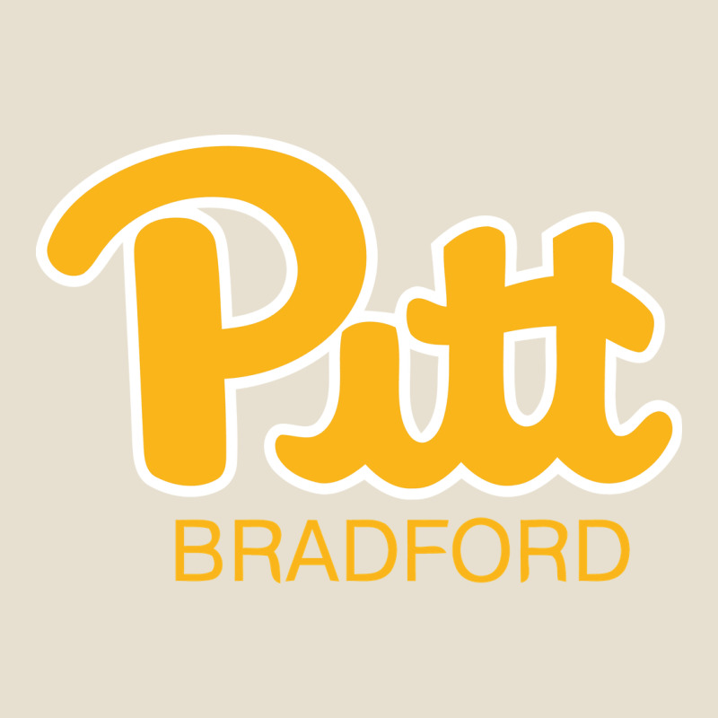 Pitt Bradford, University Of Pittsburgh At Bradford, Urban Heavy Tee by linhVisuals | Teevron