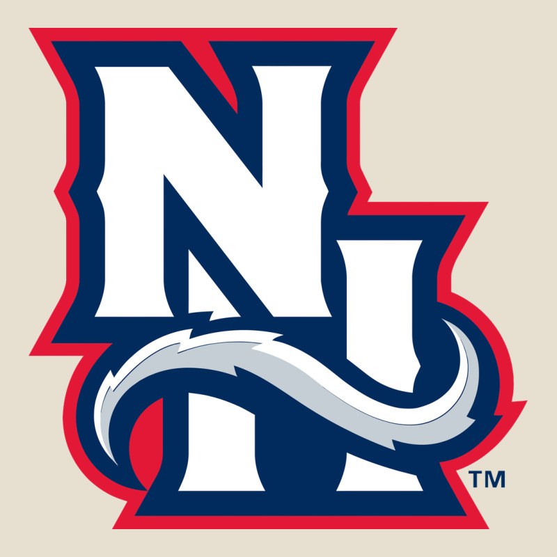 New Hampshire Fisher Cats Urban Heavy Tee by linhVisuals | Teevron