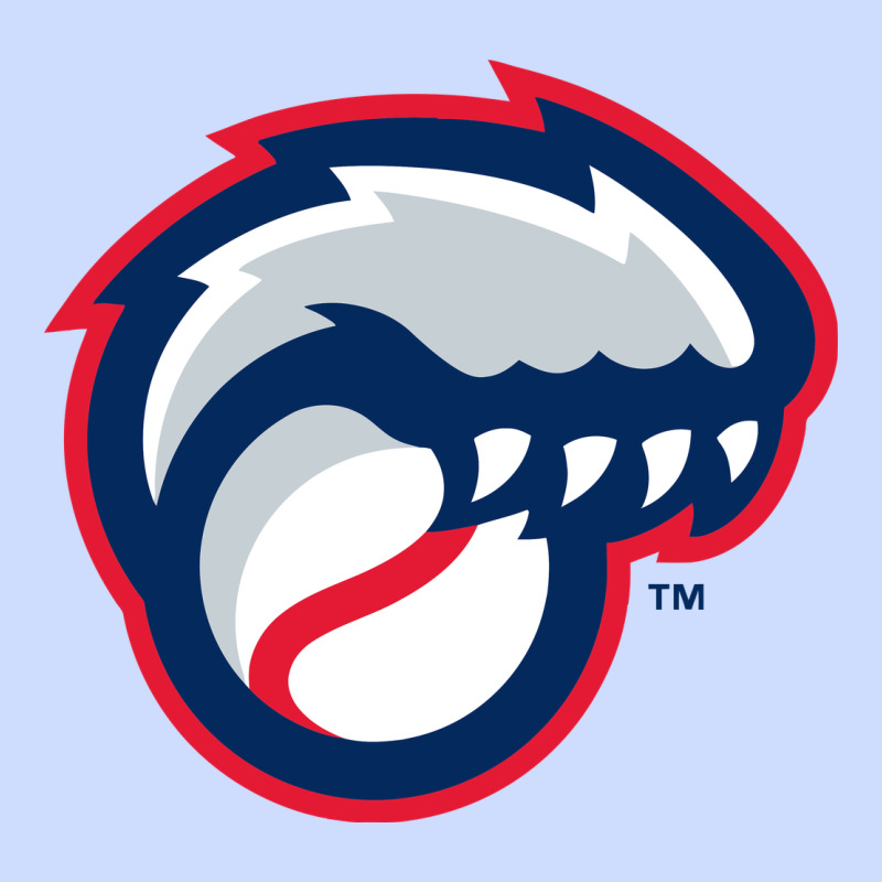New Hampshire Fisher Cats Urban Heavy Tee by linhVisuals | Teevron