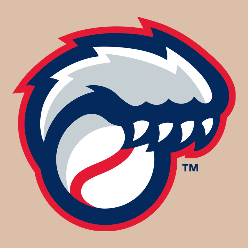 New Hampshire Fisher Cats Urban Heavy Tee by linhVisuals | Teevron