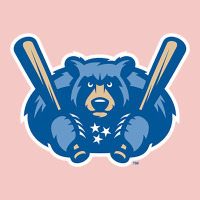 Tennessee Smokies Urban Heavy Tee | Teevron