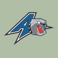 Unc Asheville Bulldogs Urban Heavy Tee | Teevron