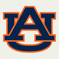 Auburn Tiger Urban Heavy Tee | Teevron
