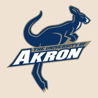 University Of Akron Urban Heavy Tee | Teevron