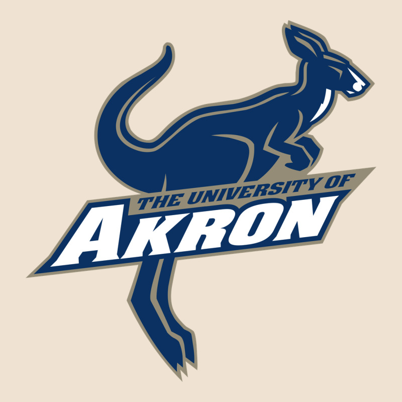 University Of Akron Urban Heavy Tee by linhVisuals | Teevron