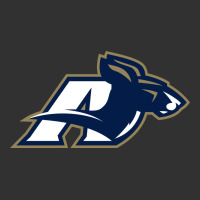 Akron University Zips Urban Heavy Tee | Teevron