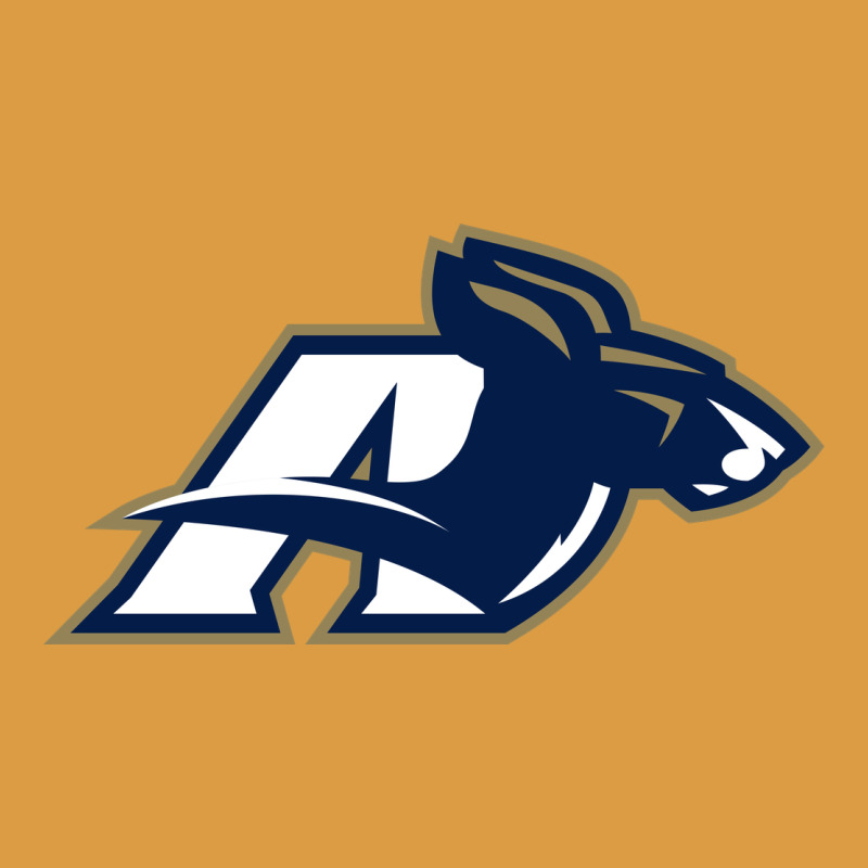 Akron University Zips Urban Heavy Tee by linhVisuals | Teevron