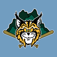 Lynchburg Hillcats Baseball Urban Heavy Tee | Teevron