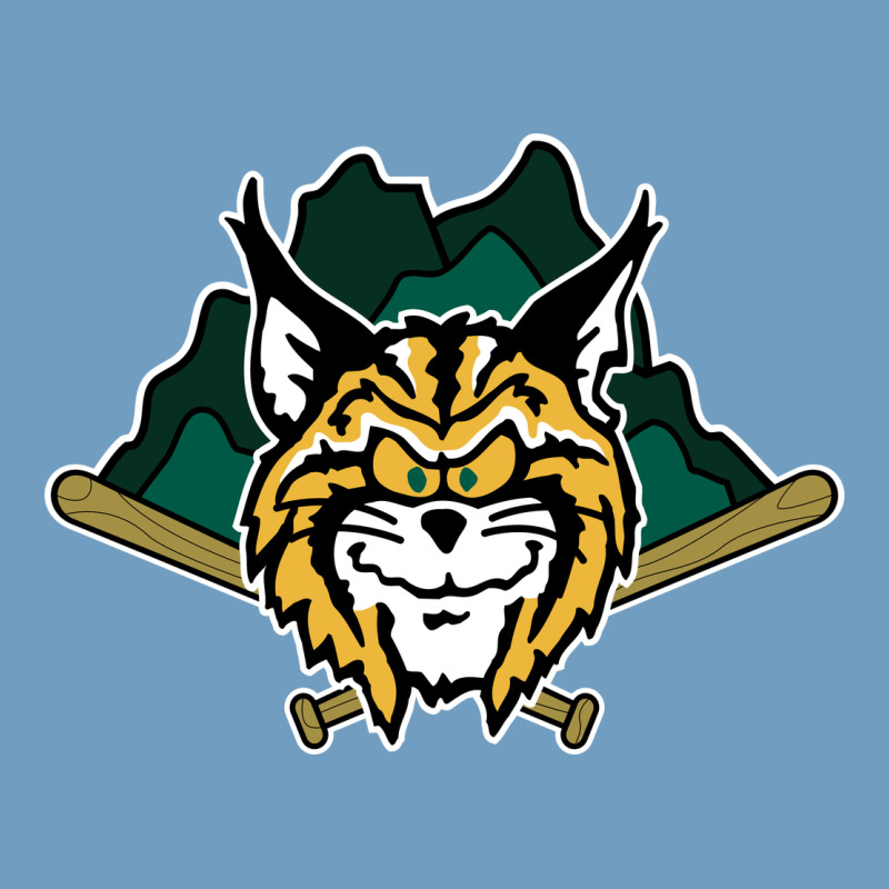 Lynchburg Hillcats Baseball Urban Heavy Tee by linhVisuals | Teevron