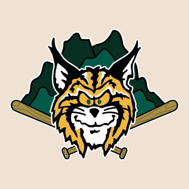 Lynchburg Hillcats Baseball Urban Heavy Tee by linhVisuals | Teevron
