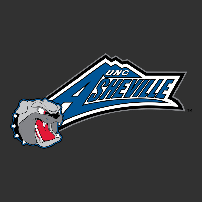 Unc Asheville Bulldogs Urban Heavy Tee by linhVisuals | Teevron