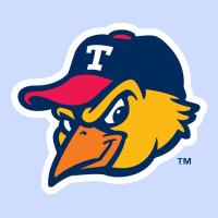 Suitable-toledo-mud-hens-worn Urban Heavy Tee | Teevron