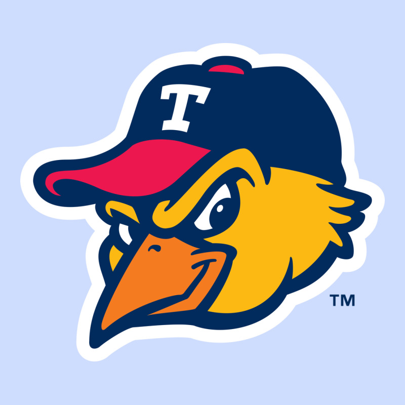 Suitable-toledo-mud-hens-worn Urban Heavy Tee by linhVisuals | Teevron