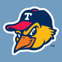 Suitable-toledo-mud-hens-worn Urban Heavy Tee | Teevron