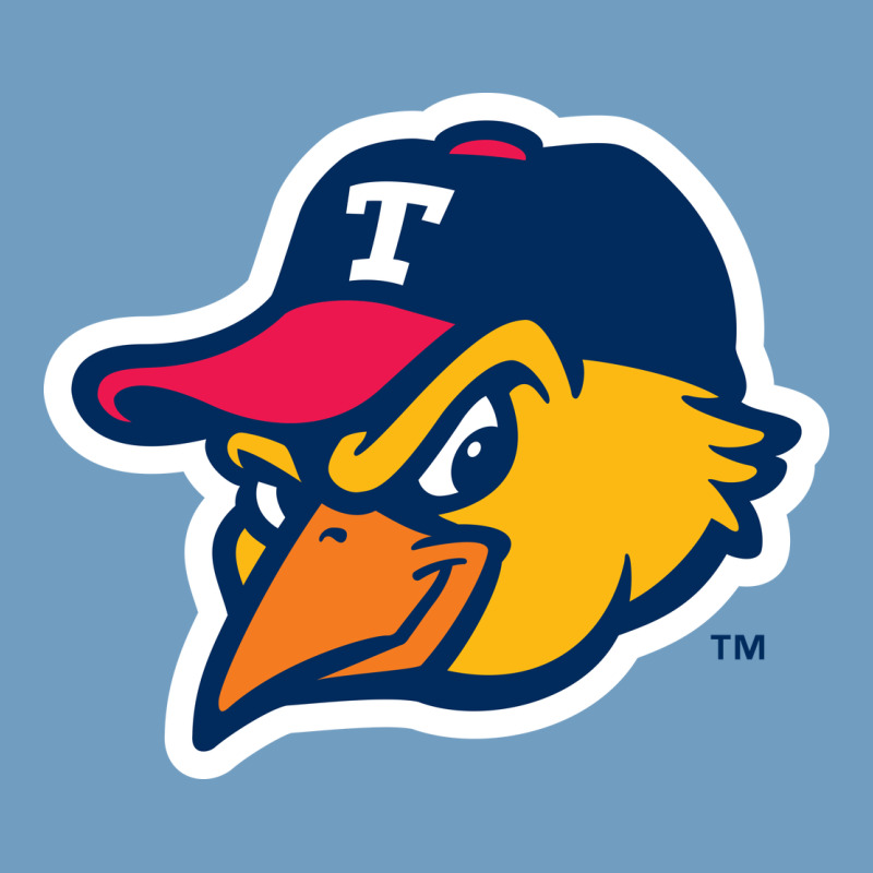 Suitable-toledo-mud-hens-worn Urban Heavy Tee by linhVisuals | Teevron