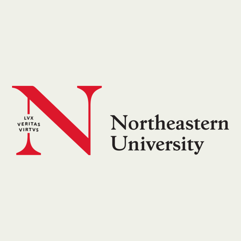 The The Northeastern Urban Heavy Tee by linhVisuals | Teevron
