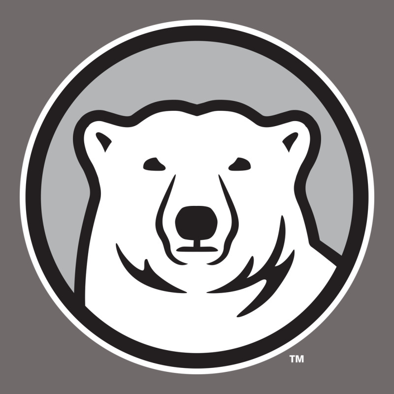 Bowdoin College Urban Heavy Tee by linhVisuals | Teevron