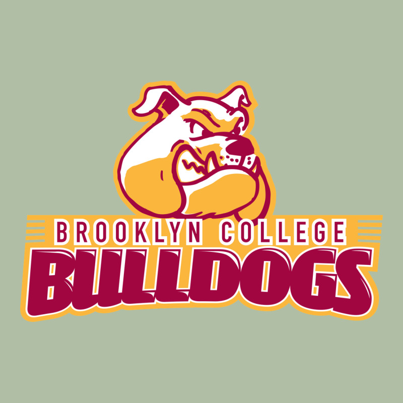 Brooklyn College Urban Heavy Tee by linhVisuals | Teevron