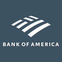 Financial Services Company America Urban Heavy Tee | Teevron