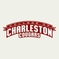 Charleston Cougars Urban Heavy Tee | Teevron