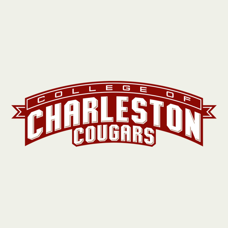 Charleston Cougars Urban Heavy Tee by linhVisuals | Teevron