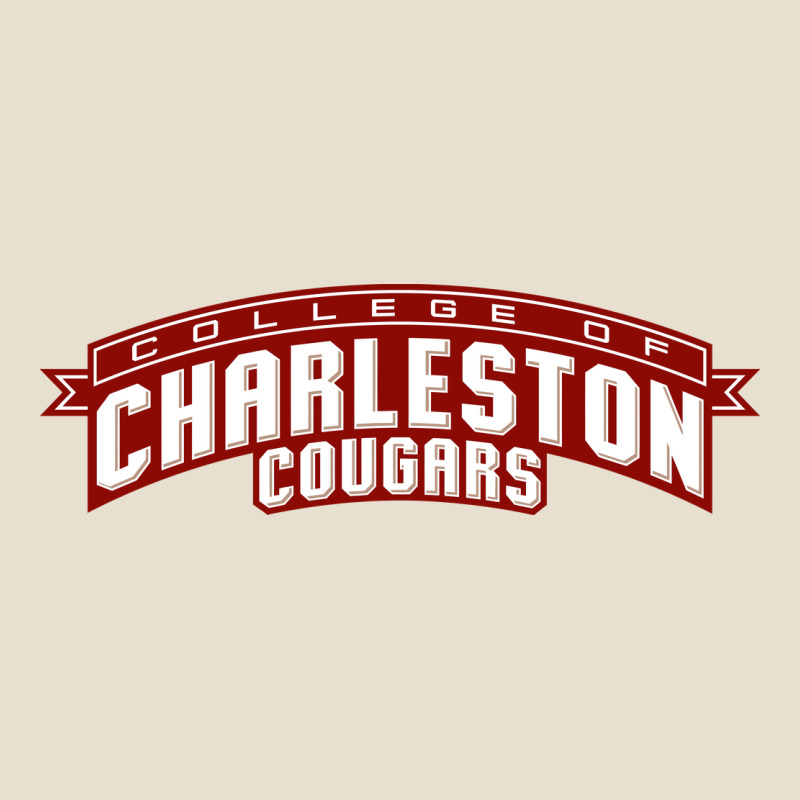 Charleston Cougars Urban Heavy Tee by linhVisuals | Teevron