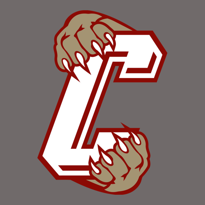 Charleston Cougars Urban Heavy Tee by linhVisuals | Teevron
