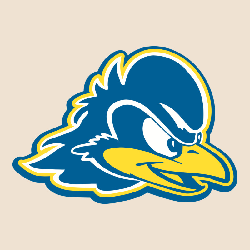 Delaware Blue Hens Urban Heavy Tee by linhVisuals | Teevron
