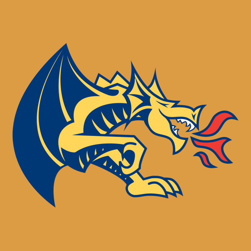 Drexel Dragons Urban Heavy Tee by linhVisuals | Teevron