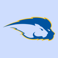 Hofstra Pride Urban Heavy Tee | Teevron