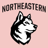 Northeastern Huskies Urban Heavy Tee | Teevron