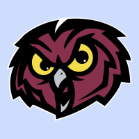 Temple Owls Urban Heavy Tee | Teevron