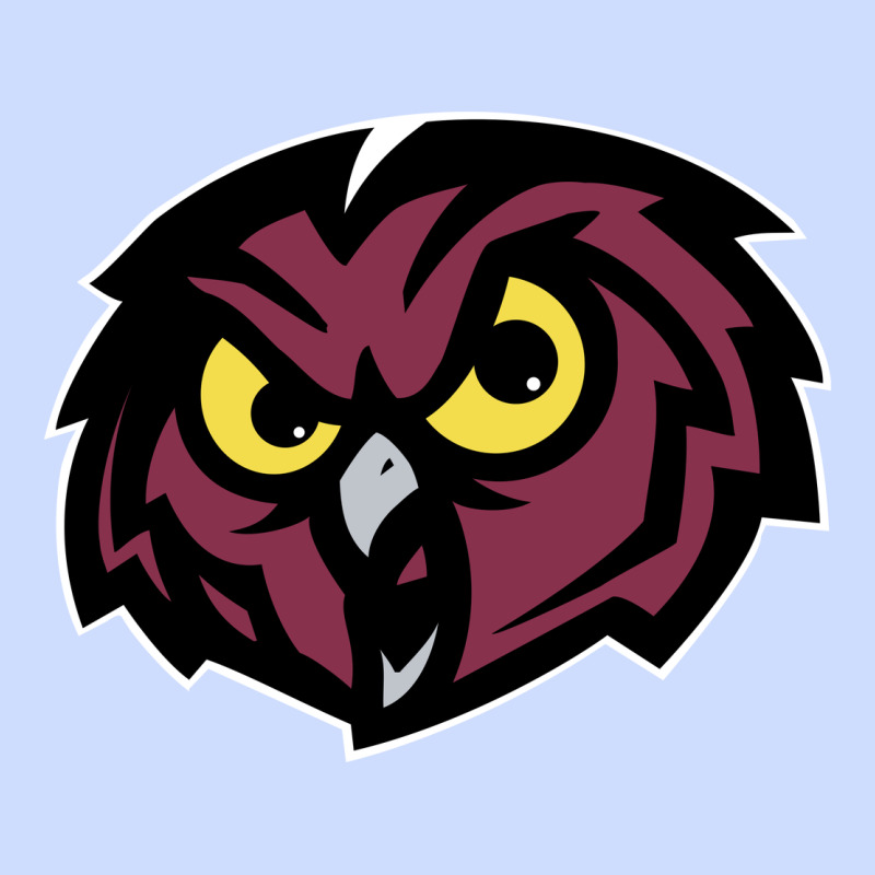 Temple Owls Urban Heavy Tee by linhVisuals | Teevron
