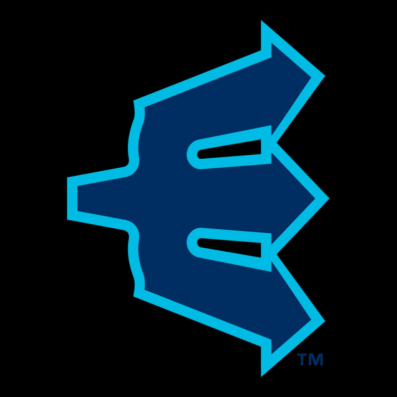 Everett Aquasox Urban Heavy Tee by linhVisuals | Teevron